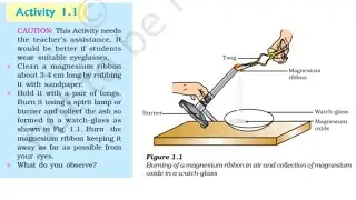 How magnesium ribbon burns with dazzling white flame 🔥 | practical video | experiment