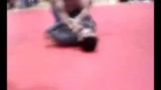 Niu Jiu Jitsu Ted