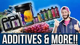 What Can Brightwell Aquatics Do for Your Reef?
