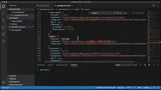 10 package-lock.json and NPM Scripts