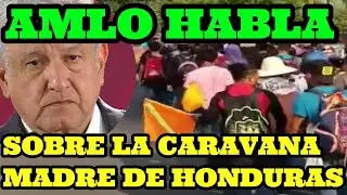 @elpumapolitico Habla sobre la caravana de Honduras | Mexicanos ya no emigran a usa