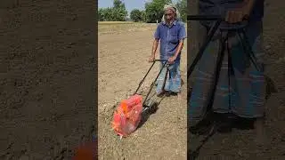 ভুট্টা লাগানো মেসিন ঘন্টায় এক বিঘা জমি ভুট্টা লাগানো সম্ভব