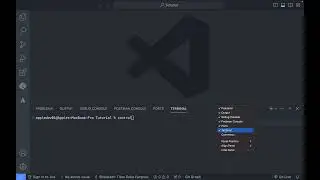 Cara Mengubah Posisi Terminal Di Visual Studio Code