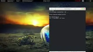 go programming and liteIDE for go