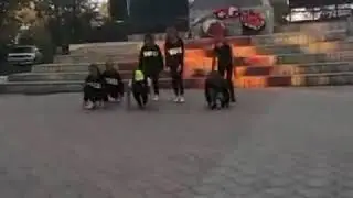 Никто. Не угадает где я 👉👈🤧 /// с др меня ///