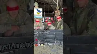 Пленные украинские военные #плен #полон #пленные #пленный #полонений #полонені