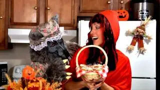 Pumpkin Cookies - Happy Halloween