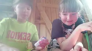 2 июня 2023 г.
