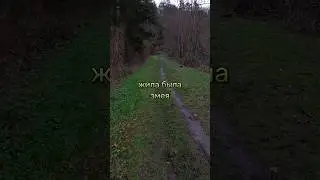 Поучительная притча про змею  #притча #сосмыслом #саморазвитие #мораль #жизненно #правдажизни #смысл