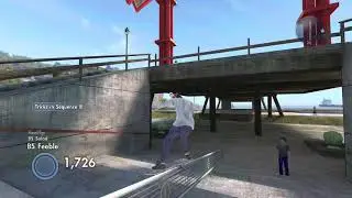 Skate 3: Penis Flip to Reverse Bogoslide