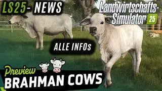 LS25 News - HOW BRAHMAN CATTLE WORK! 🐄 Breeding, Husbandry & Feeding | LS25