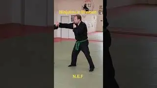 Gyokko Ryu Kosshijutsu #shorts #kurzfilm #movie #martialarts #budo #fight #japan #bremen #seldefense