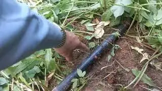 Лайфхак для ремонта ПНД трубы