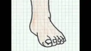 Ben 10 fourarms complete Transformation