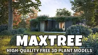 Maxtree Plant | Blender Free Assets | High-Quality free 3D Plant Models