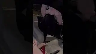 Трек в нашем телеграм канале 🔥 https://t.me/goldentbilisimusic