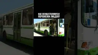 Как осуществляются перевозки людей? #автошкола #классвождения #automobile #вождение