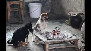 Очень трогательное видео!!!