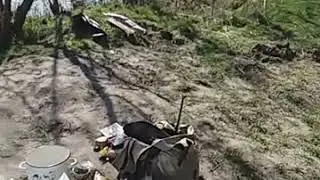 караси 11042020
