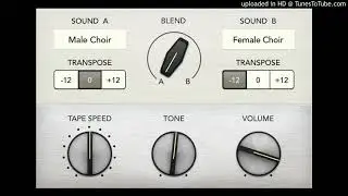 Mellotron Clone  