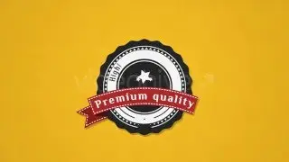 Animated Labels Pack (Opener) - After Effects Template