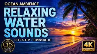 Relaxing Sleep Music: Deep Sleeping Music, Stress Relief,  Meditation Music