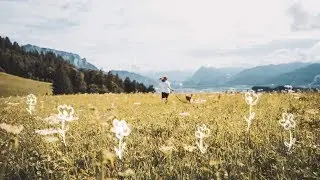 Filmen UND Fotografieren im Urlaub ist so stressig.. wie macht ihr das?!