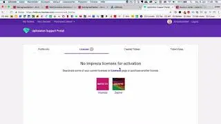 Impreza Theme Lizenz auf andere Domain übertragen