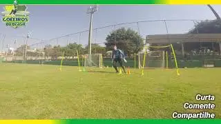 Treinamento de Goleiro