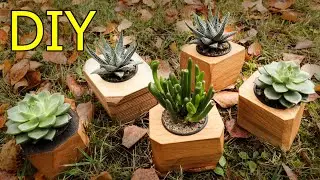 DIY Succulent Planter