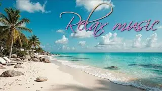 ✨🎵 Elegant Lounge Music | Sunny dreams
