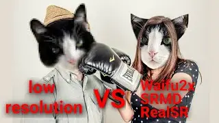 Upscaler Comparison - Waifu2x vs. SRMD vs. RealSR