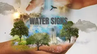 💦Water Signs April 1st Reading: INNOCENCE!💦