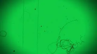 Old Film Screen | Green Screen | FILM DAMAGE OVERLAY | Aesthetic Overlay Green Screen | VHS