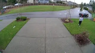 Package Thief gets Instant Karma