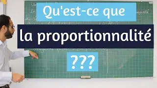Qu'est-ce que la proportionnalité ?