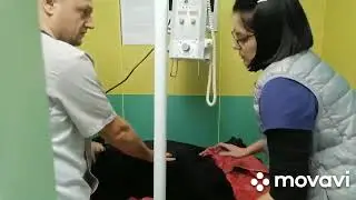 Девочка Дэзи просит помощи! ((