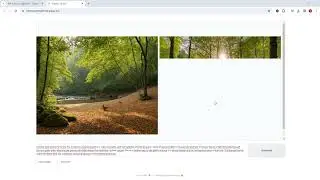Google Colab Üzerinden Gerçekçi Resimler Oluşturabileceğiniz yapay Zeka Aracı