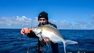Fishing the South Coast of NSW (BIG Morwong, Pigfish, Snapper + Whales and Seals)
