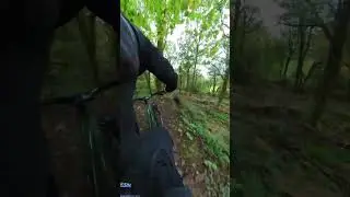Insta360 MTB Hip Cam @insta360 #madeforfun #ebiking #mtb