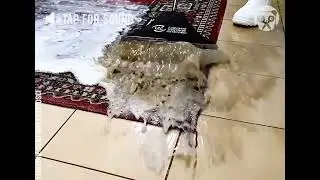 So Satisfying To Watch Dirty Carpet Getting Clean 🤩