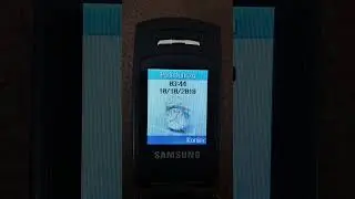 Samsung SGH-X200 - Alarm