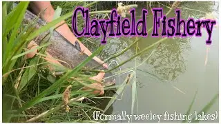 Catfish Clayfield Fishery Weeley