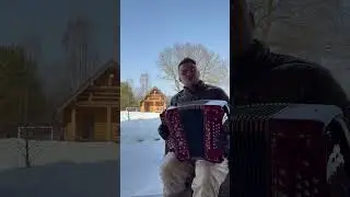 На тропе #гармонь #песня #музыка #мужская #Сударев