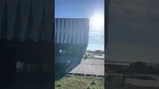 Неправильный немецкий мёд