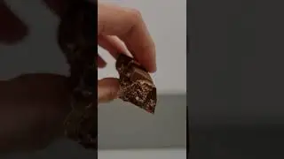 Nutella+Tony's milk chocolate with chocolate chip cookies✨