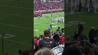 Possum on the field at Texas Tech vs TCU, Jones AT&T Stadium