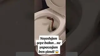 Taha Özer Evinde Yılan
