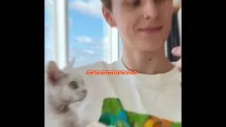 А4 ПРОТИВ ЭДИСОНА!!! 🔞😂
