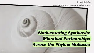 Science Division Pop-Up: Shell-ebrat ing Symbiosis-Microbial Partnerships Across the Phylum Mollusca